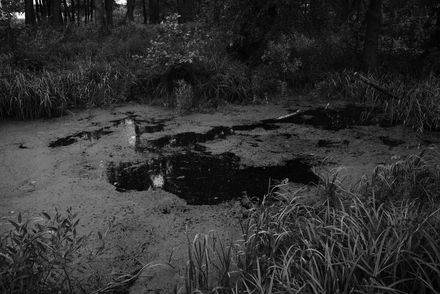 Непокорённая земля. Пылина Ирина — современная фотография