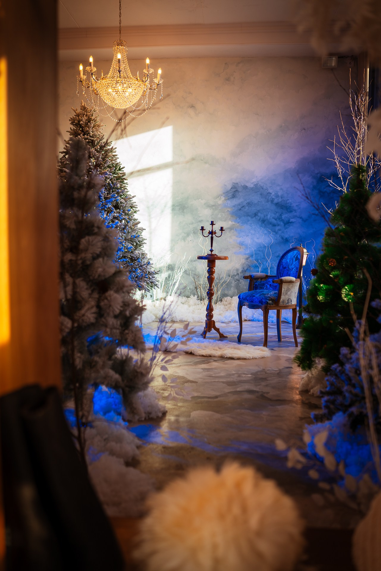 Фотостудия интерьерная в Туле — Давинчи |Davinci