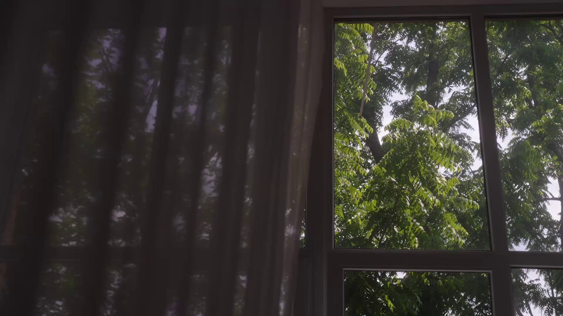 Наталья и Даниил. Агата Акварель видеограф Сочи Краснодар