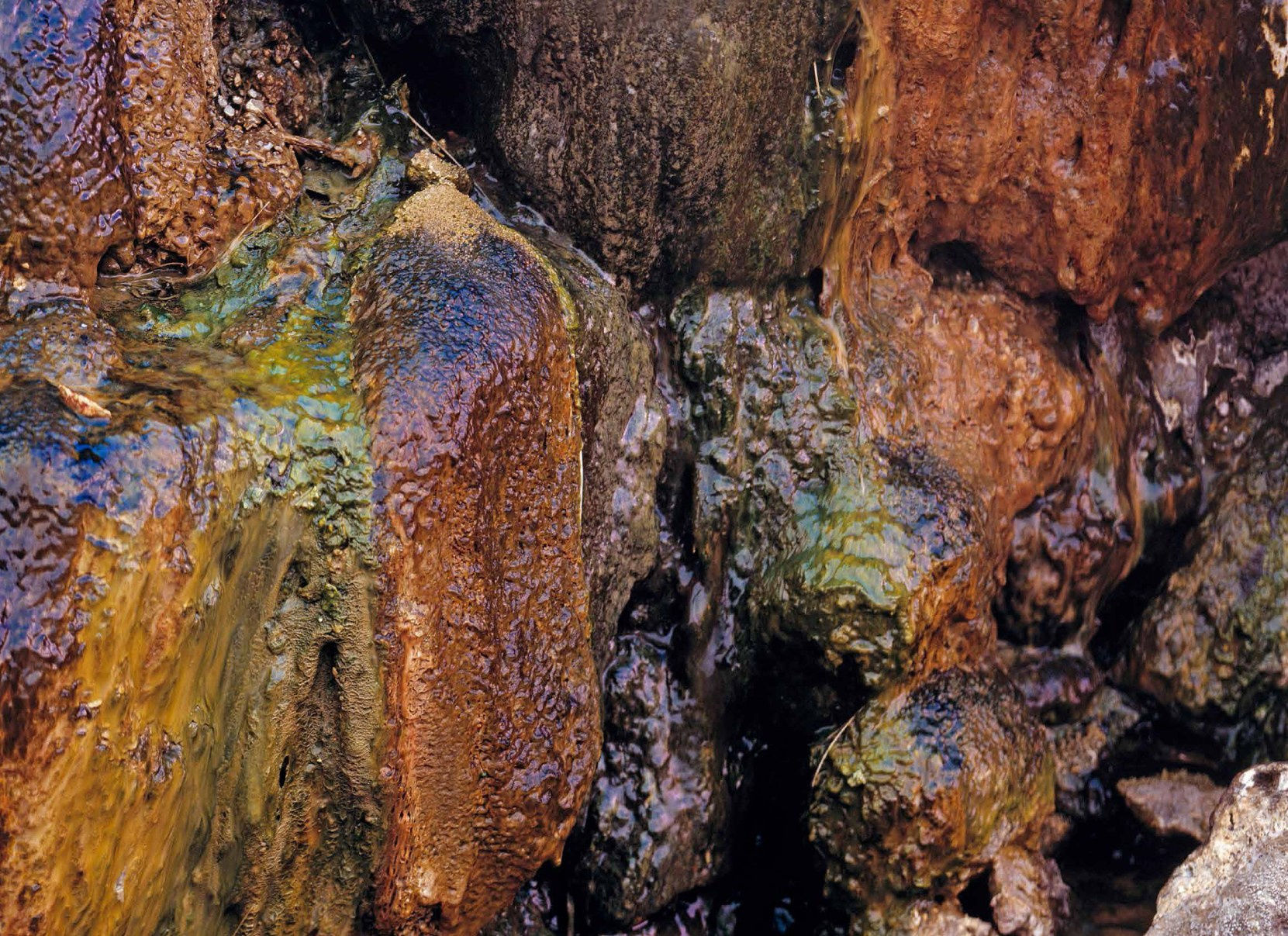 Коллекционные альбомы. ВАДИМ ГИППЕНРЕЙТЕР — ВЕЛИКИЙ ФОТОГРАФ ЗЕМЛИ РУССКОЙ