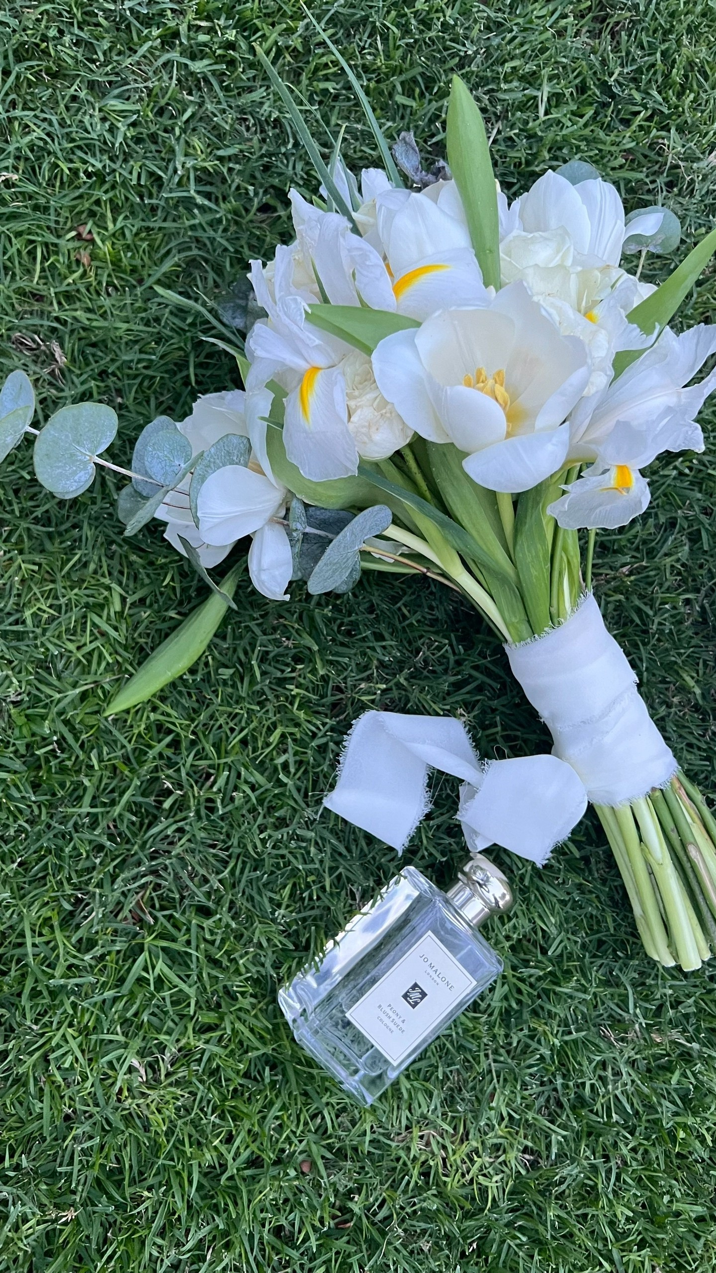 Wedding photographer in Abu Dhabi