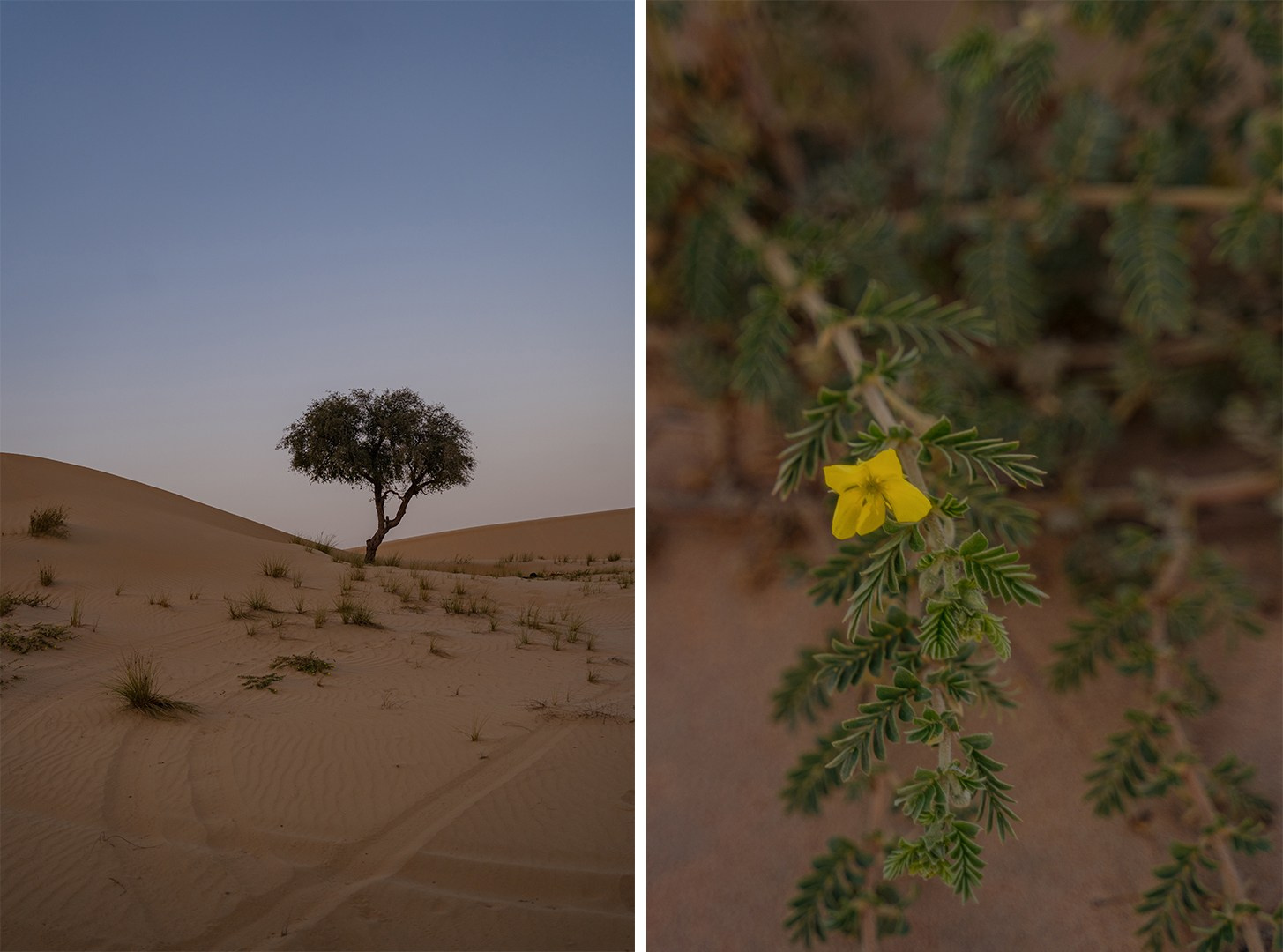 Локации. Фотограф и видеограф в Москве и Абу Даби Мария Кулагина