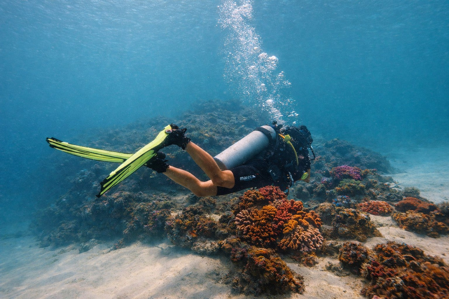 Дайвинг во Вьетнаме. Индивидуальные Экскурсии. Дайвинг во Вьетнаме. Индивидуальные Экскурсии