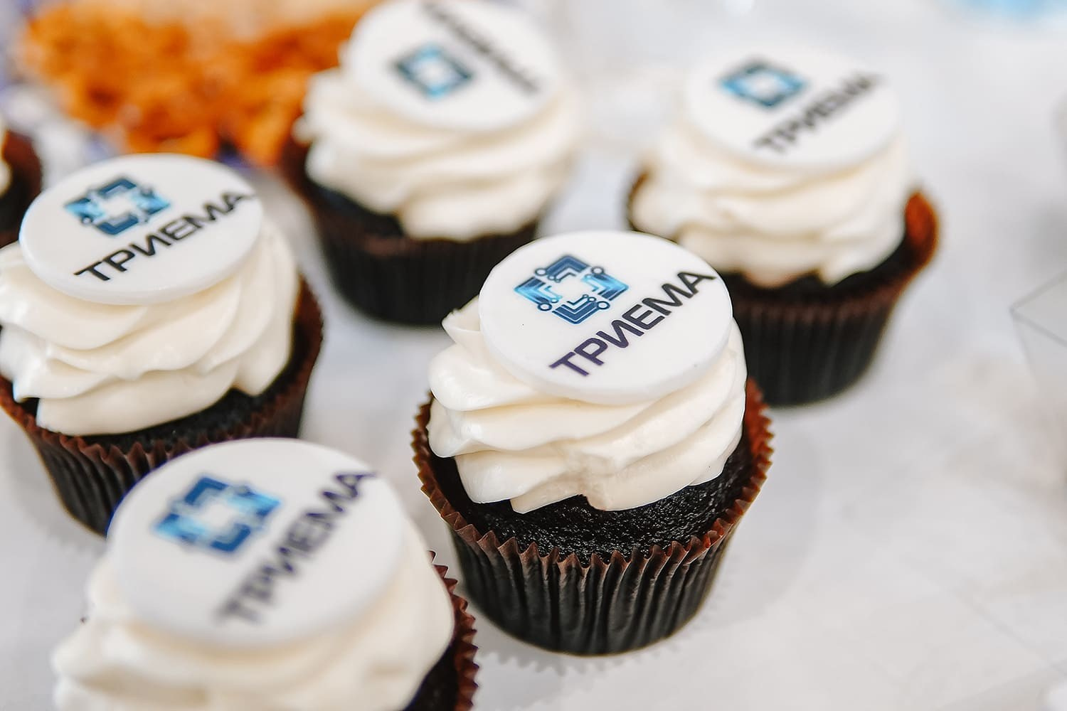 Фотосъемка конференций, выставок, презентаций. Катя Кудринская. Фотограф на мероприятие СПб. Семейный фотограф