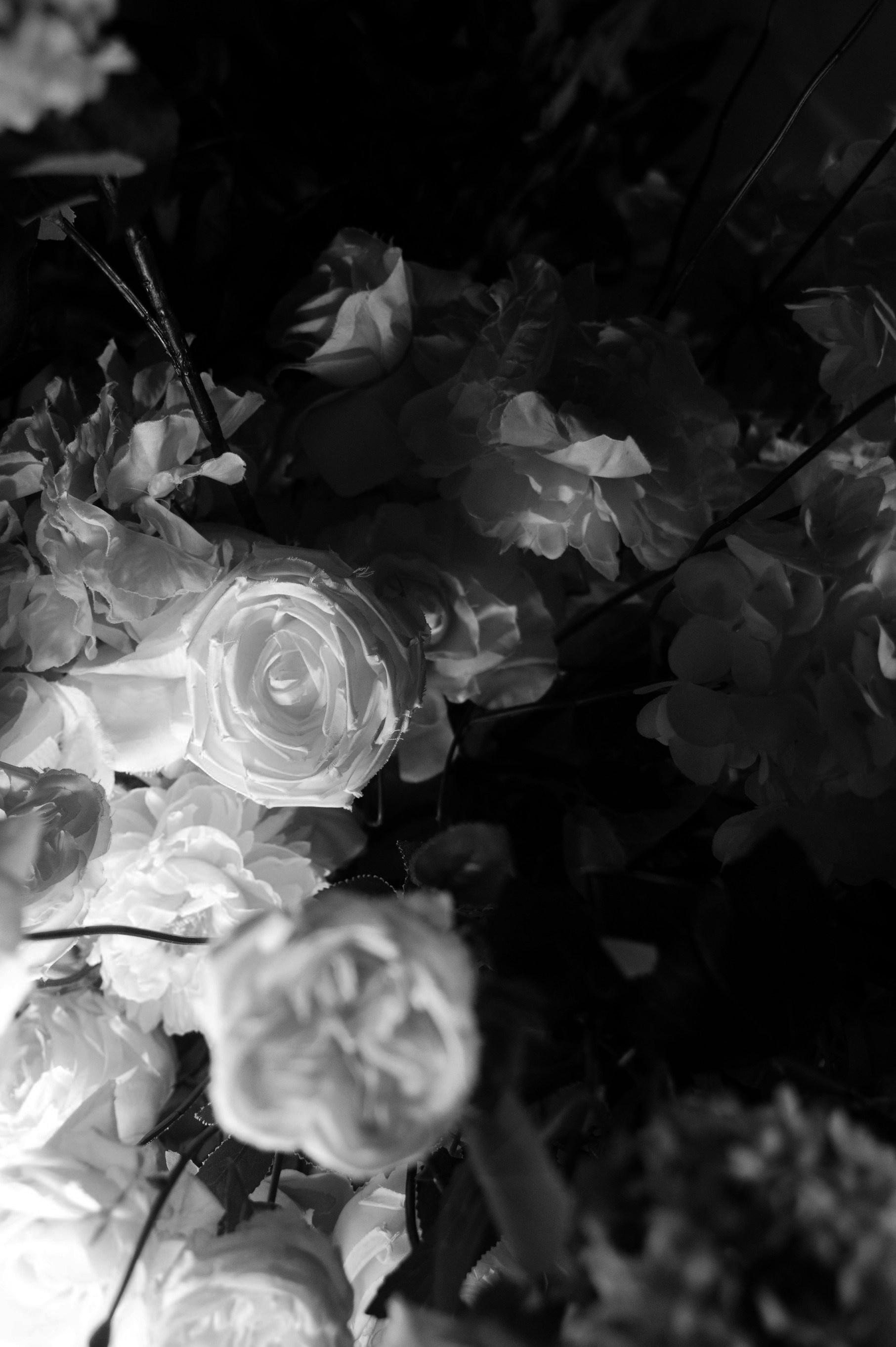 Фотограф в Сочи — Алексей Самсонов. Репортажный фотограф Сочи