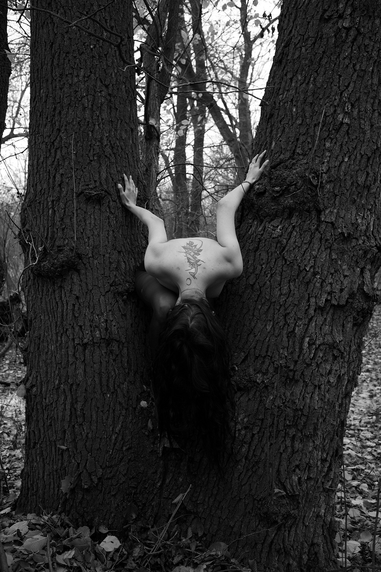 Евгений Холодок