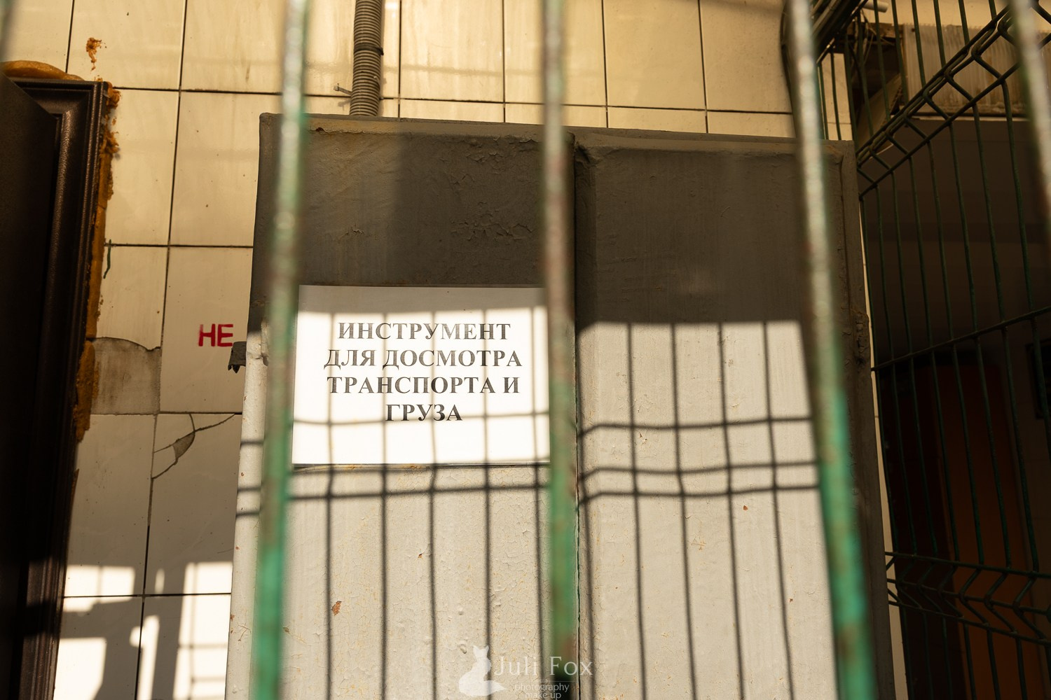 Репортажная фотосъемка во Владивостоке. Портретный, свадебный, репортажный фотограф во Владивостоке Юлиана Джули Фокс