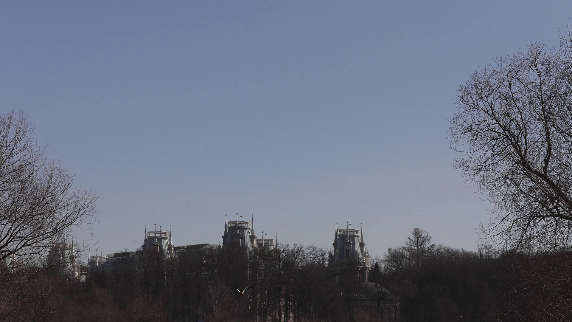 Мультимедийный проект «Траектория мегаполиса». Павел Иванов — фотохудожник