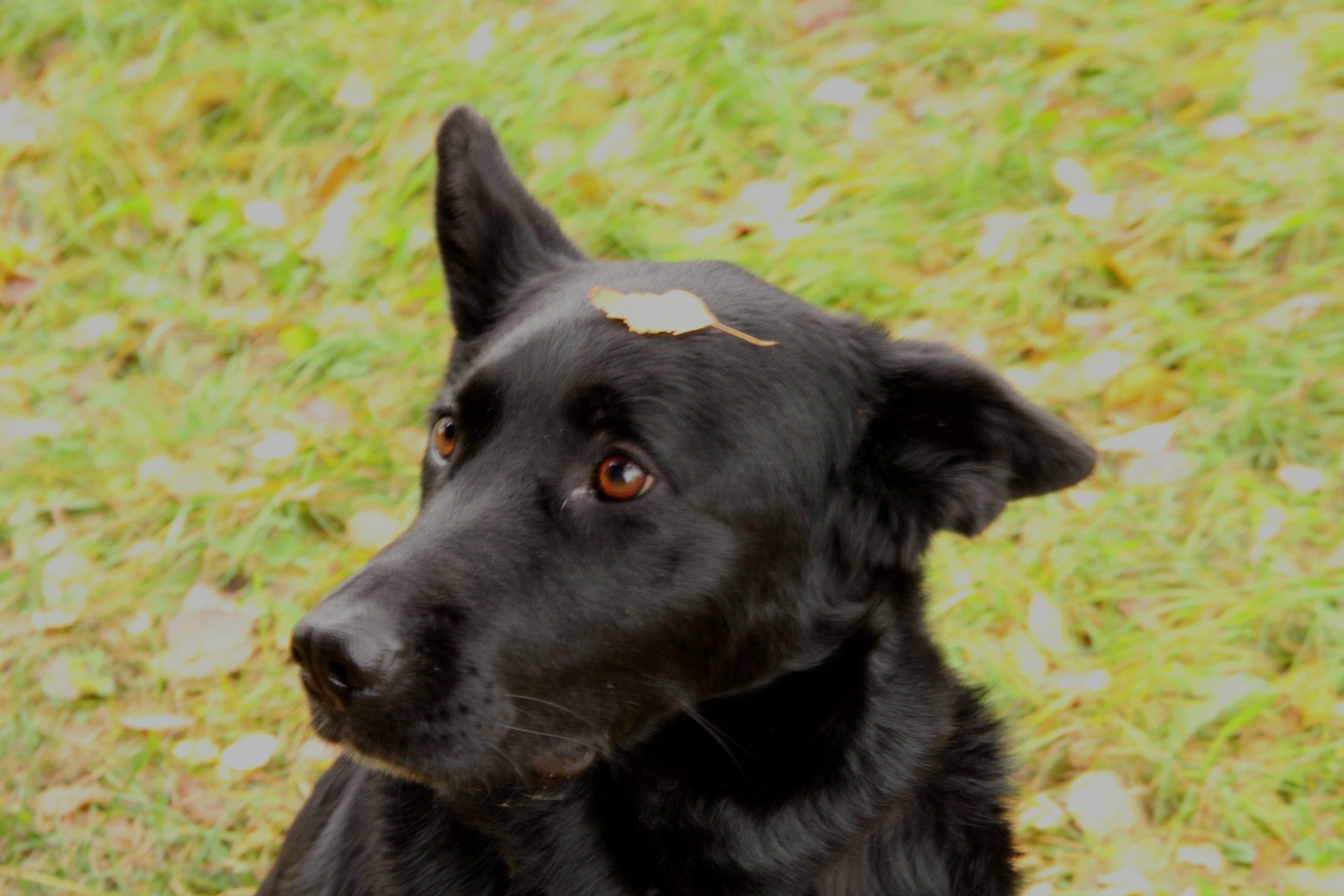 Катя Попова|ЛайфСтайл фотограф