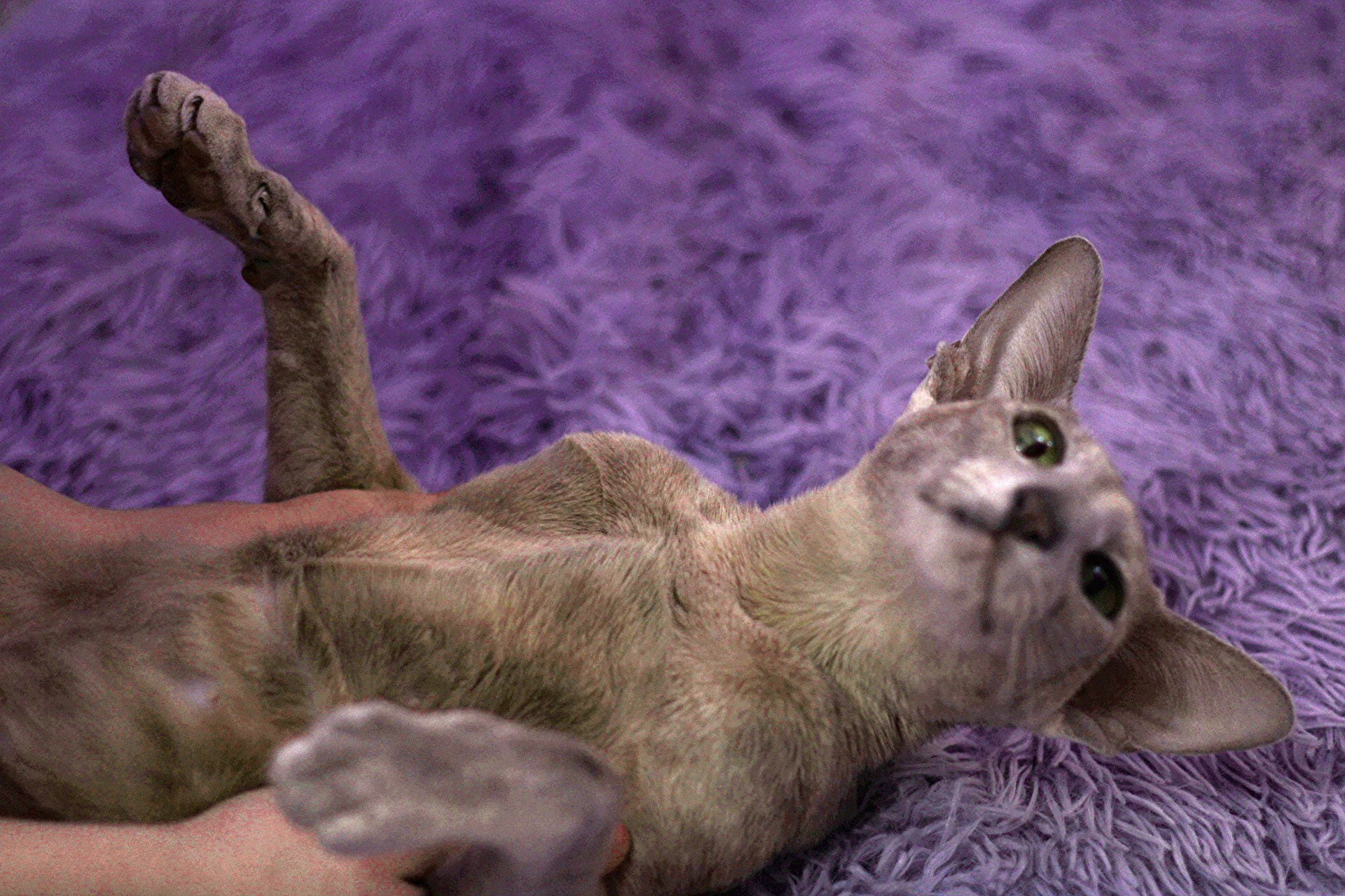 Катя Попова|ЛайфСтайл фотограф