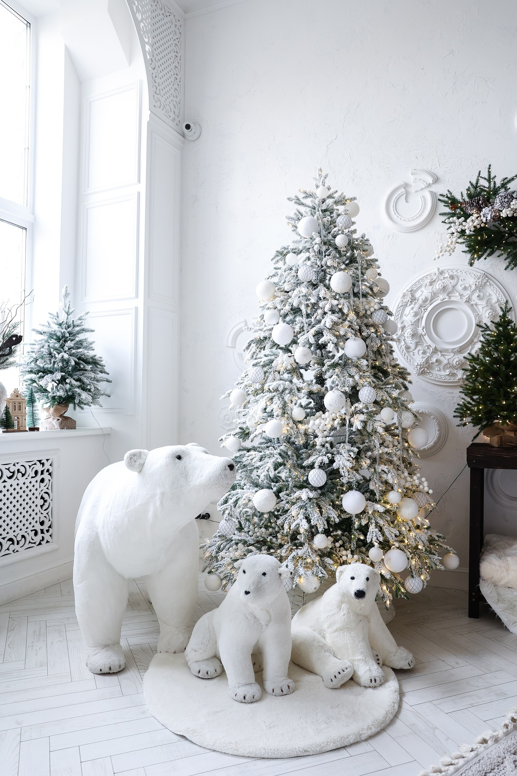 Фотостудия воронеж. Семейный и свадебный фотограф в Воронеже Майя Добровольская