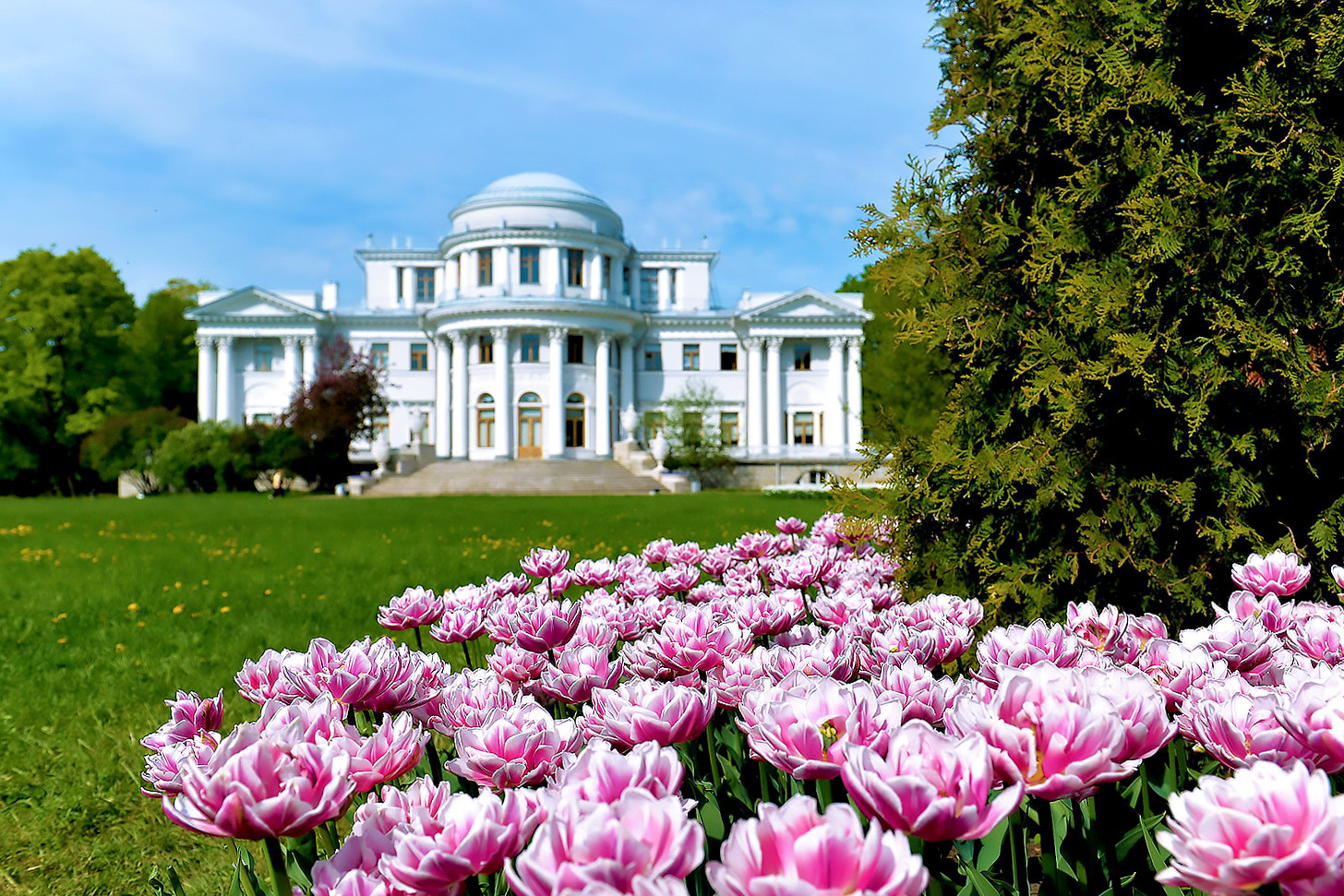 Съёмки в парках и садах Петербурга