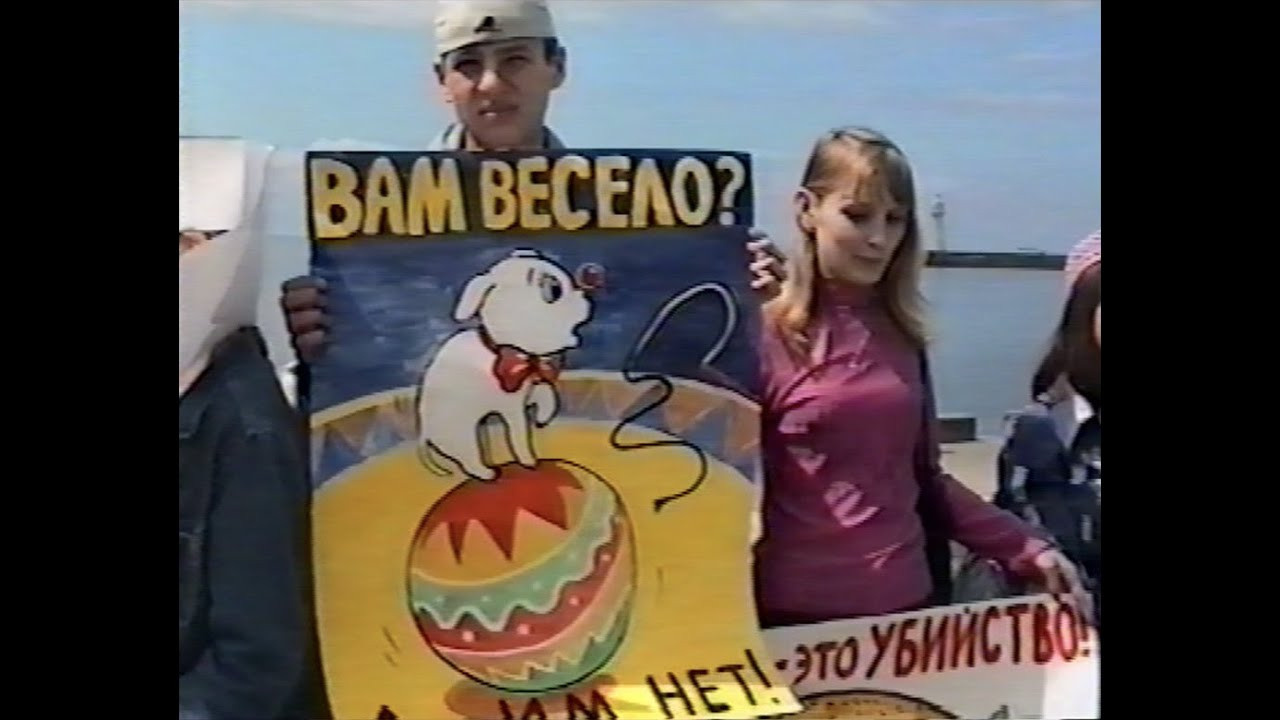 Семён Симонов. Курортное дело