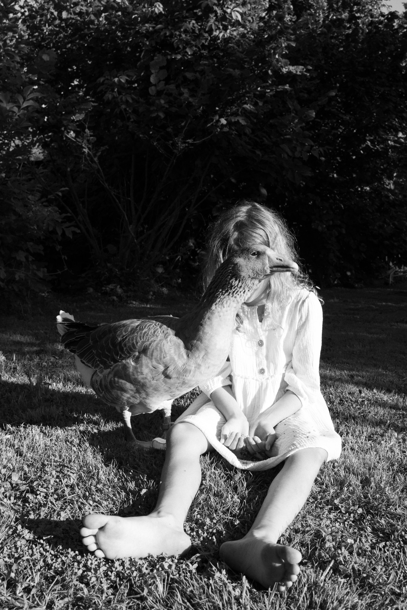 Арт-ню фотограф, Фотохудожник в Москве Анна Форс