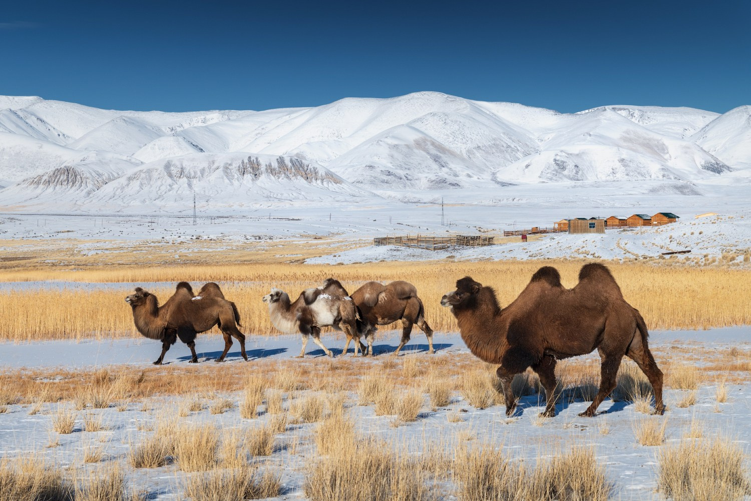 Блог Алены Рубан. Профессиональный пейзажный фотограф Алёна Рубан