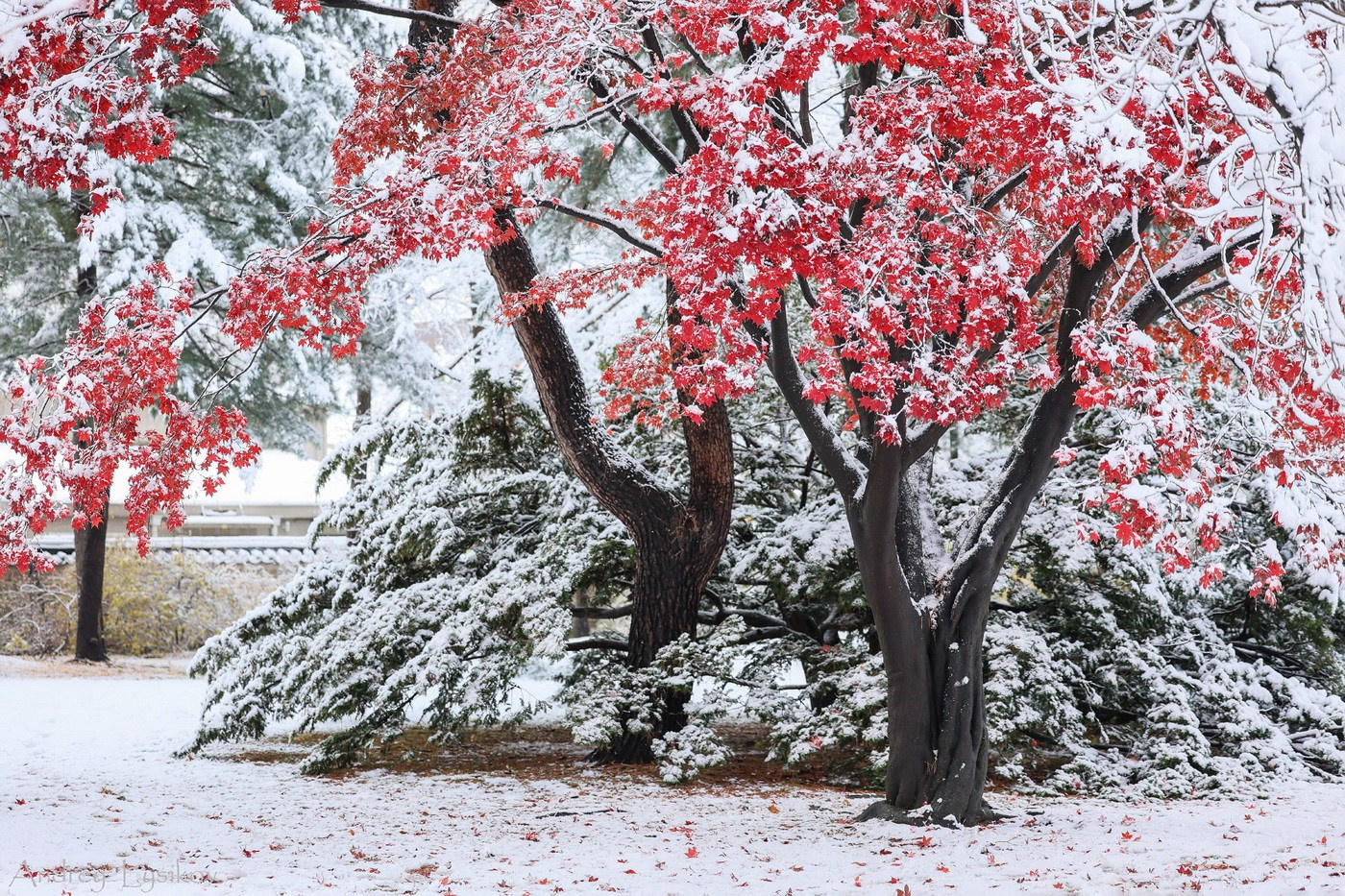 Ландшафтный фотограф Андрей Лысиков, Москва