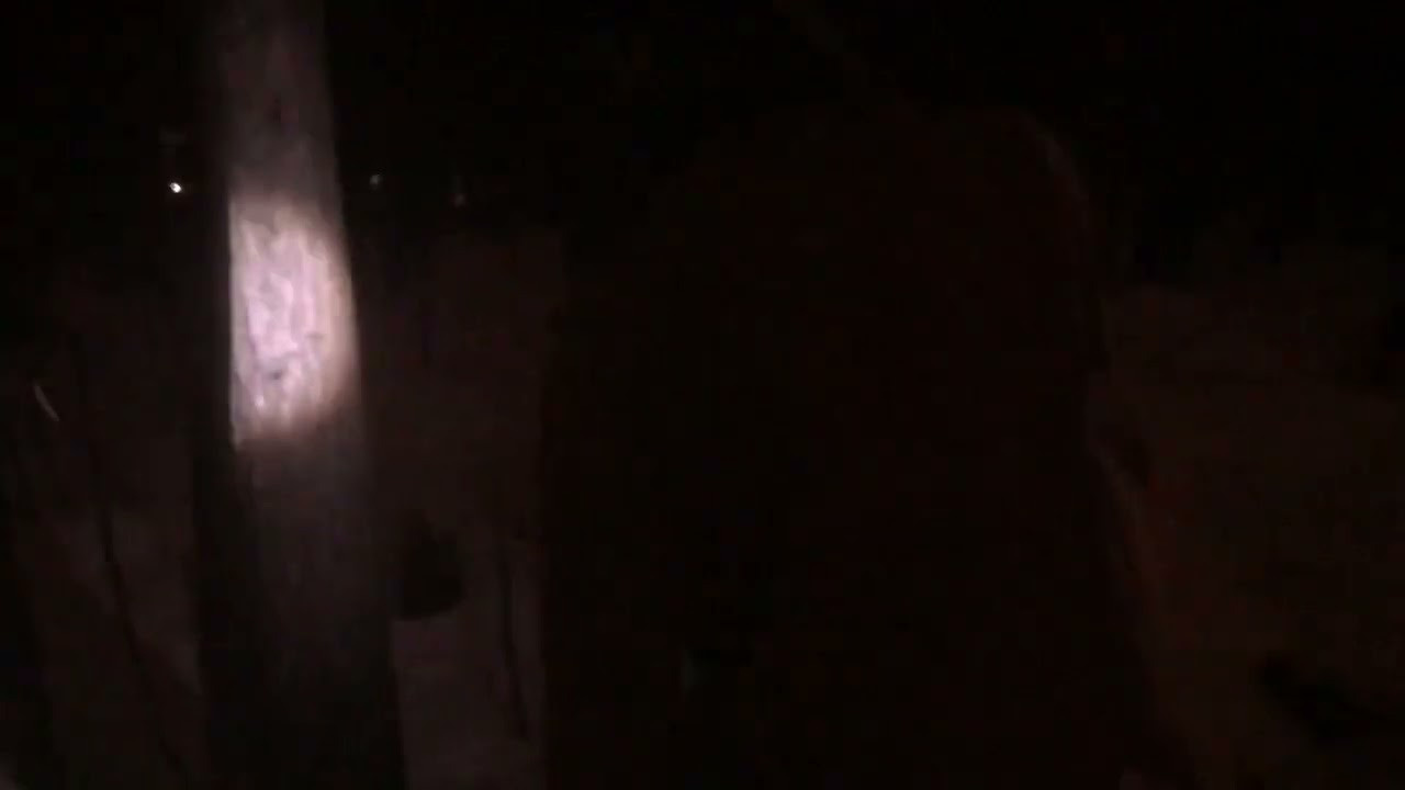 Дикая планета с 20 мая по 20 июля 2022