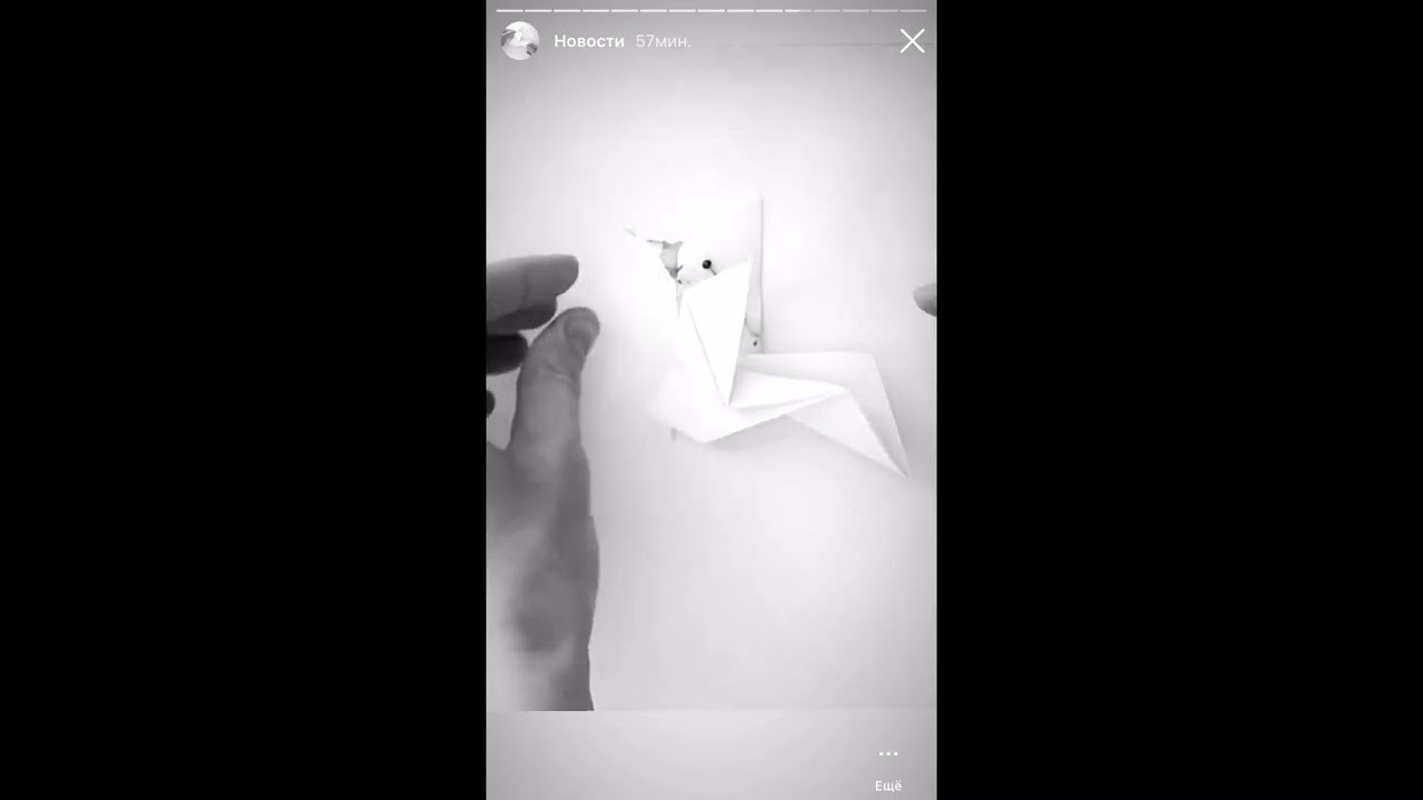 Дикая планета с 20 мая по 20 июля 2022