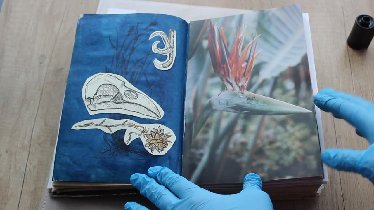 Дикая планета с 20 мая по 20 июля 2022