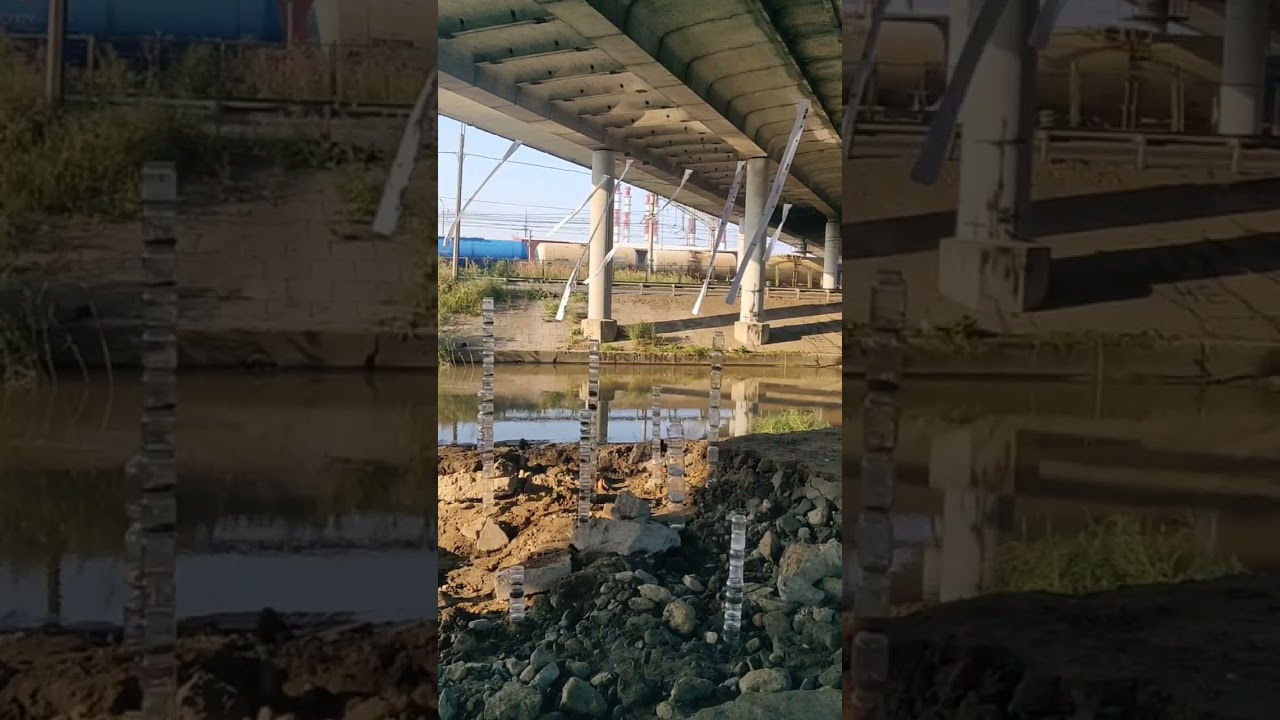 Красненькая антибиеннале 2022 (СПБ)