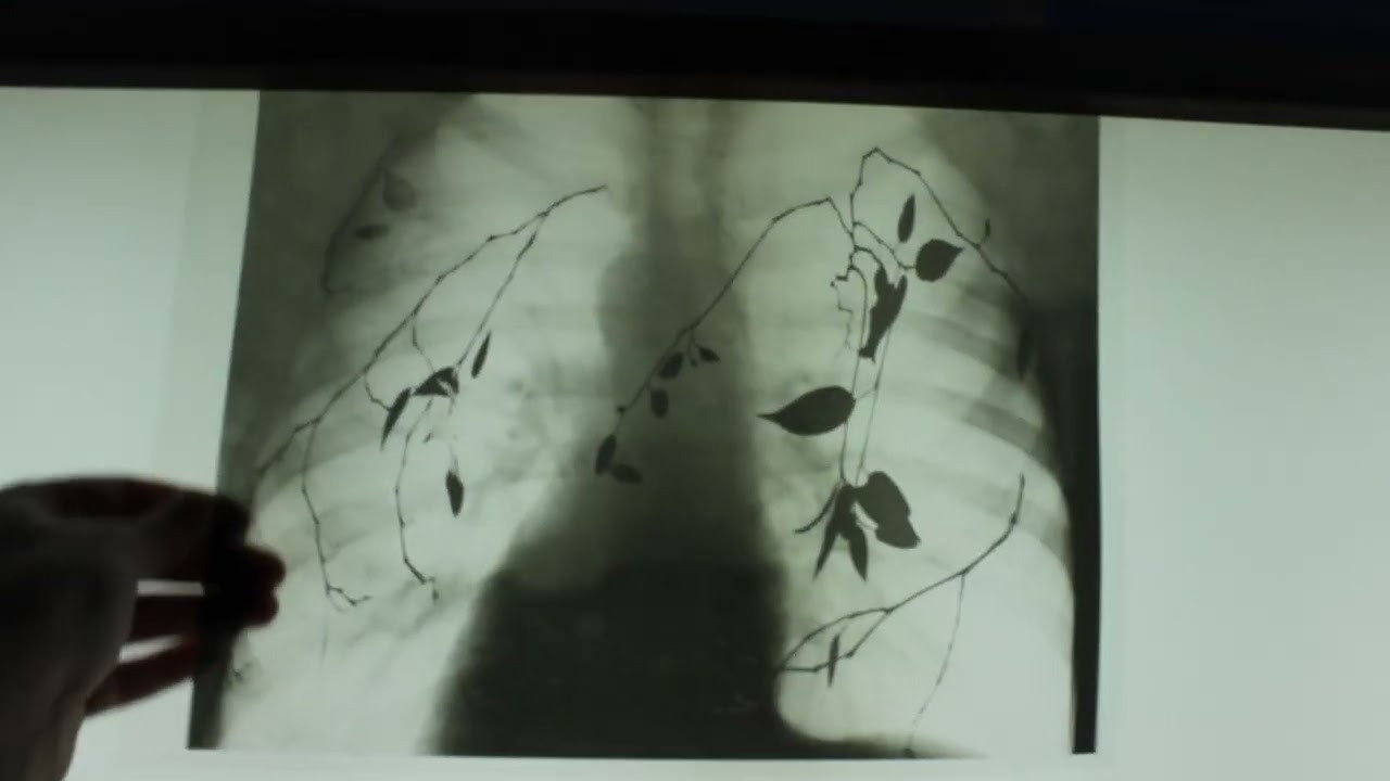 Дикая планета с 20 мая по 20 июля 2022