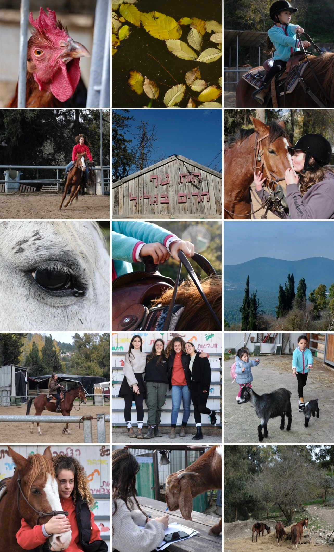 Для бизнесов. Фотограф Полина Гольдис