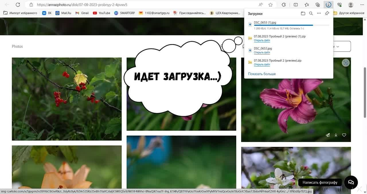 Инструкция по скачиванию готовых фотографий. Портретный и семейный фотограф в Москве Анна Захарова