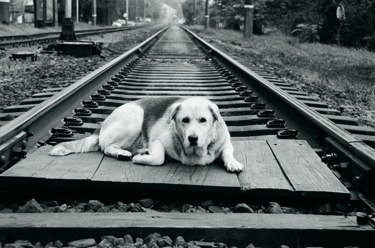 Морские прогулки с Nikon N8008. Artkapella|Олег Кузнецов