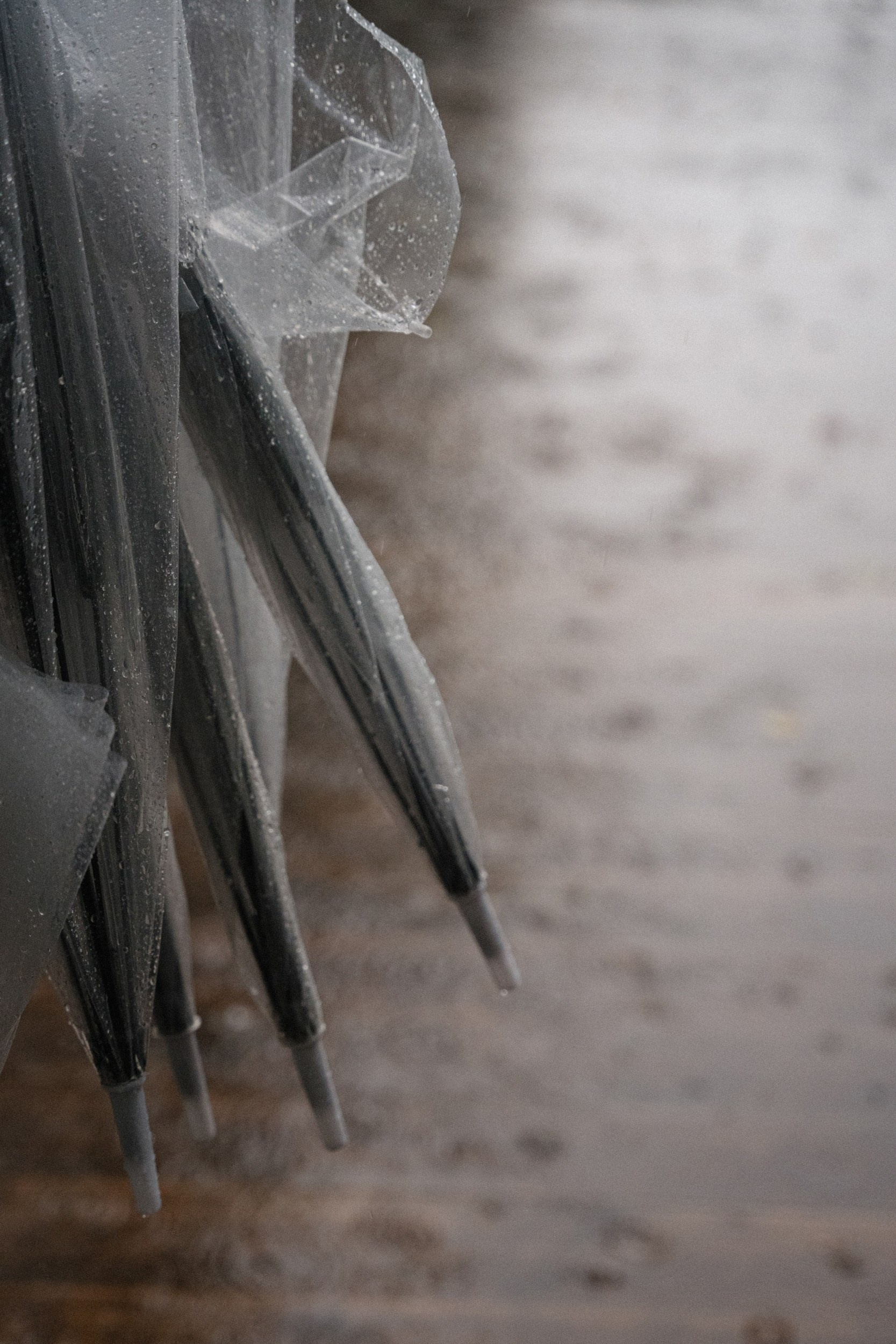 Благодаровы. Фотограф Томск, Новосибирск Влад Свириденко