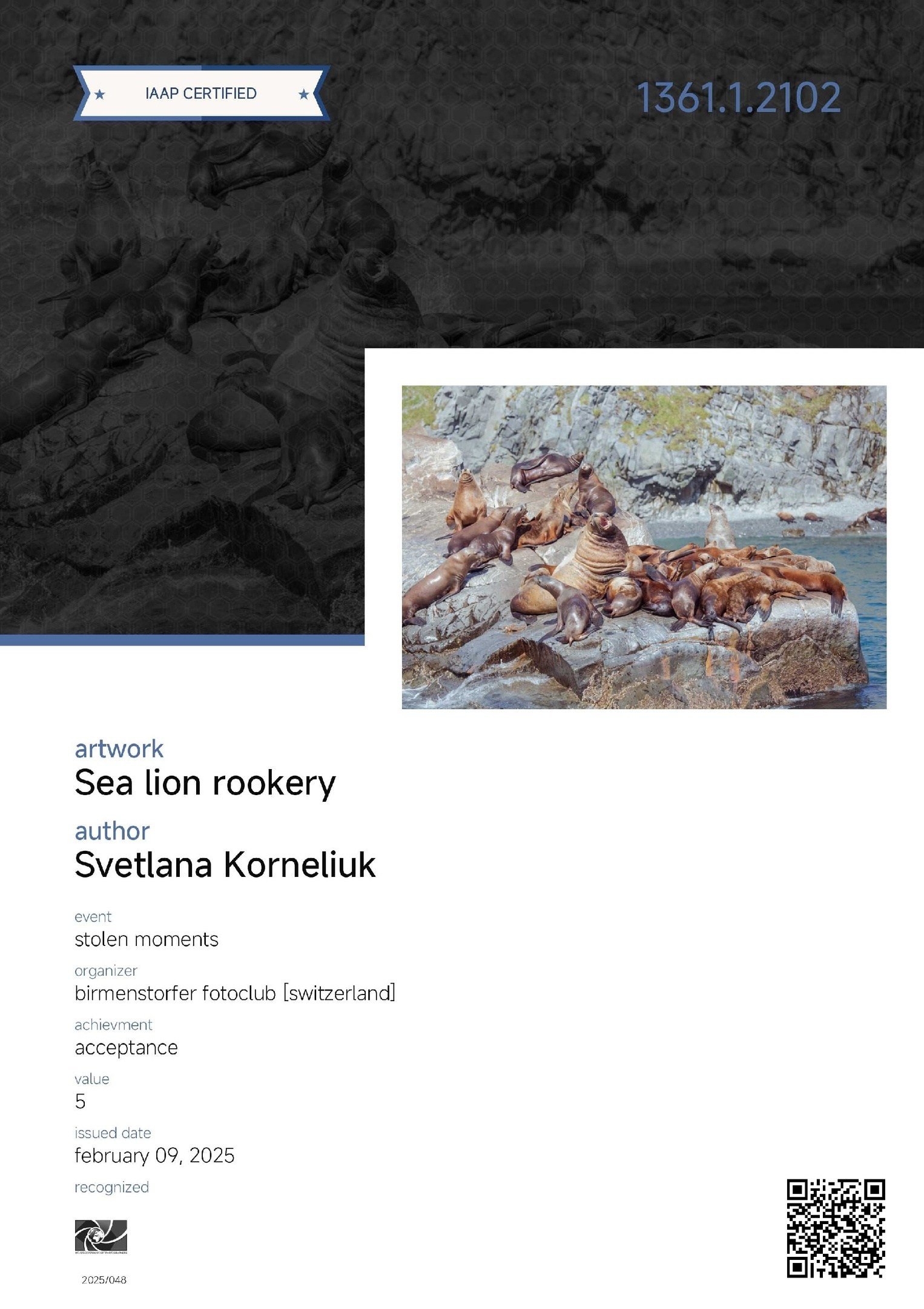 Photo accepted for the final exhibition of the STOLEN MOMENTS contest