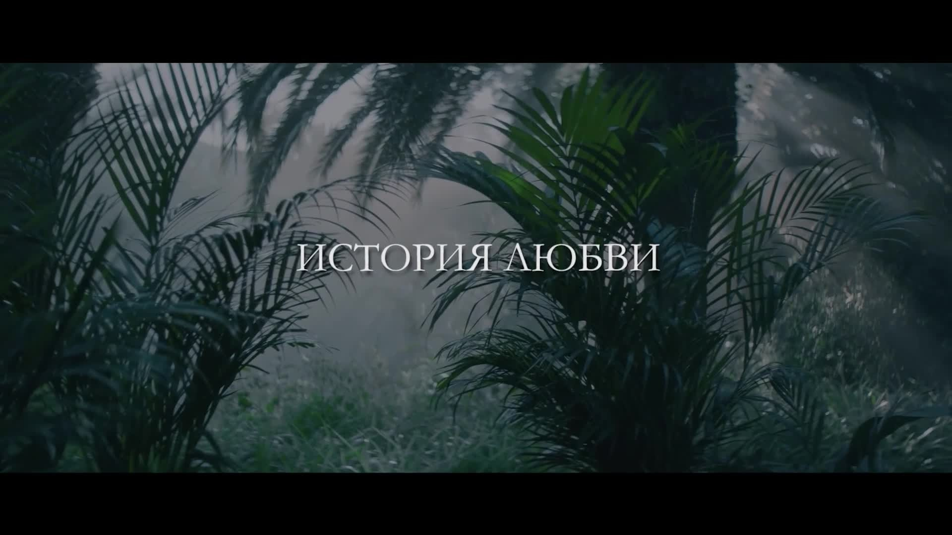 Видеограф I Денис Вьюгин