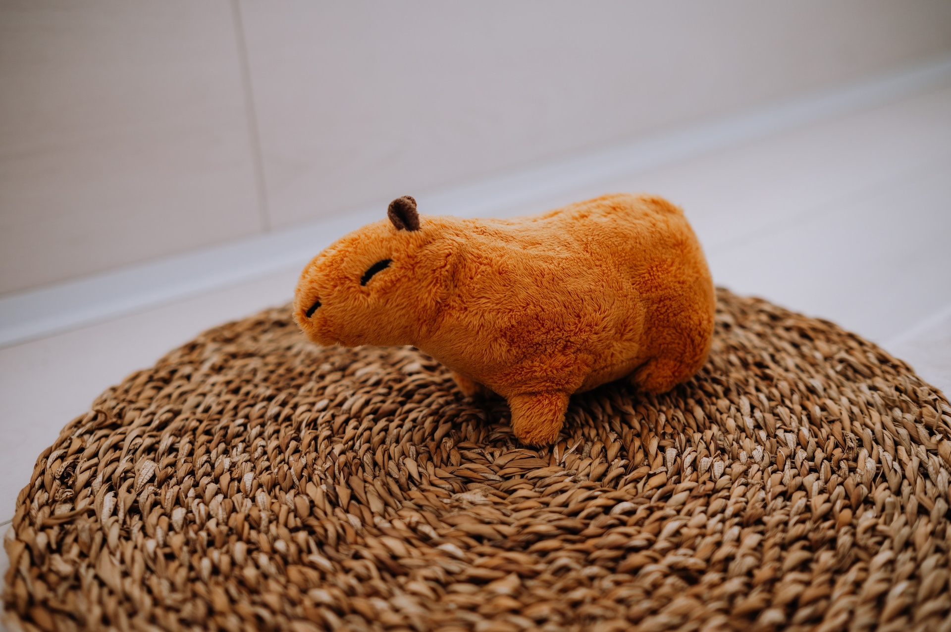 Фотостудии 2025. Свадебный фотограф и видеограф в городе Армавир Katerina Arts