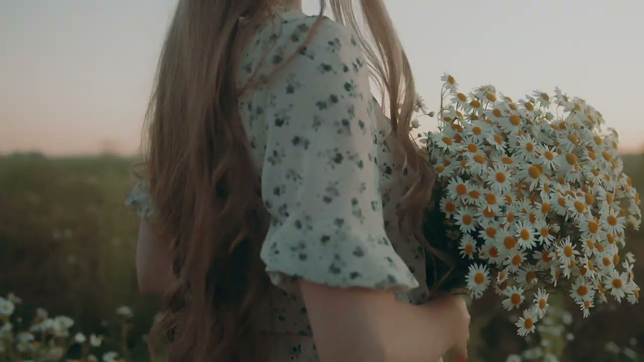 Видео. W&T Studio Студия фото и видео съемки