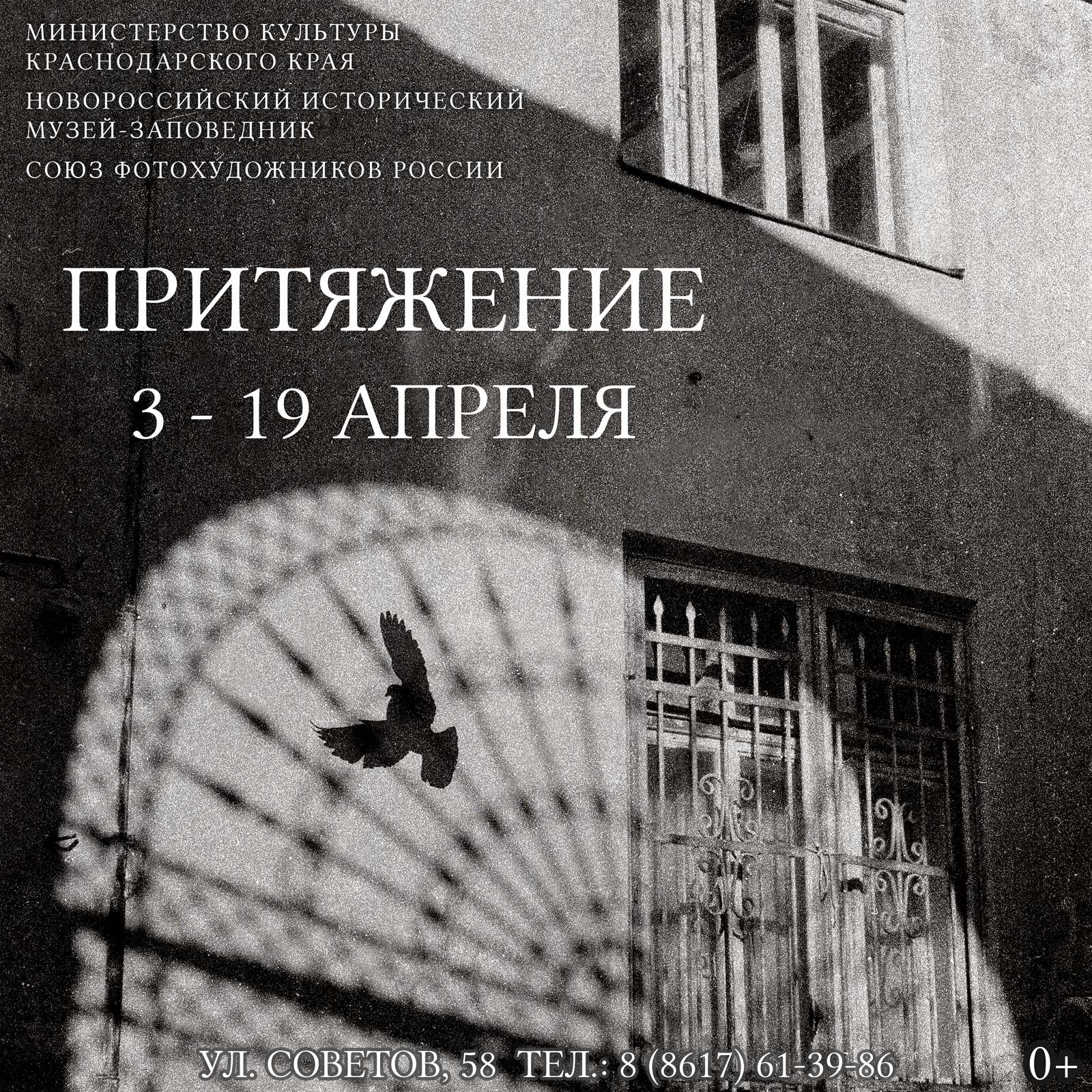 Выставка «Диалоги через объектив», г. Белгород. Профессиональный фотограф, фотохудожник, видеограф из Москвы