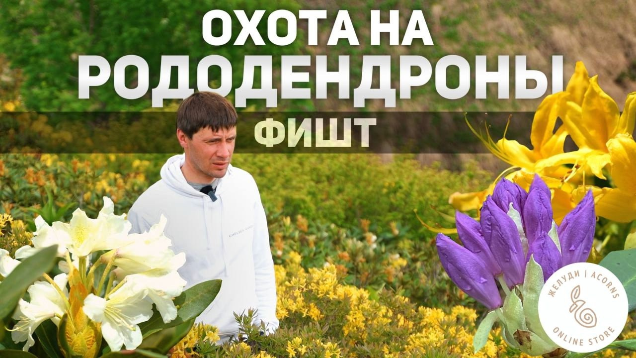Съемка документальных фильмов в Москве на заказ | TOLBATOV PRODUCTION