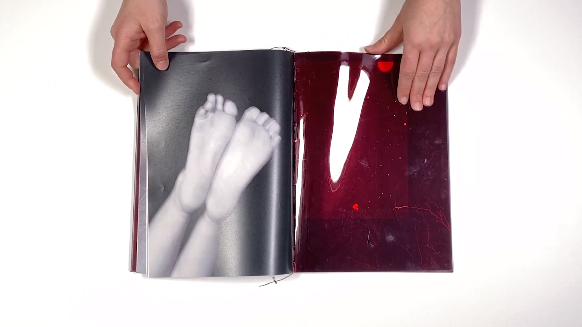 Фотокнига «Solstice» художницы Джулии Боле (Julia Bohle). Private image