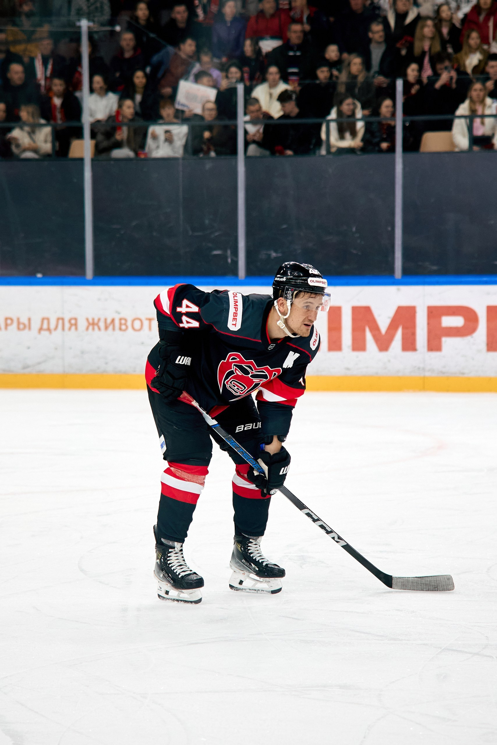 Фотосъемка хоккейного матча Молот — Динамо СПБ