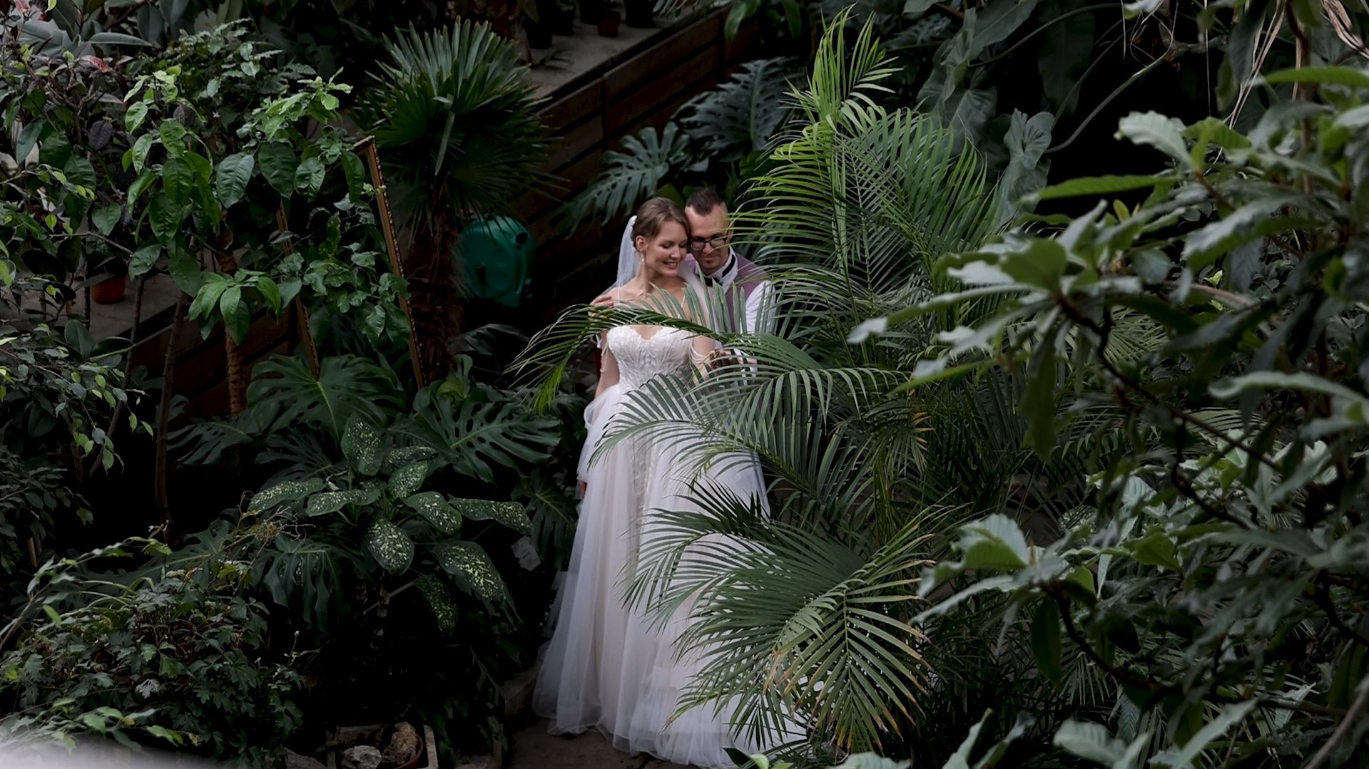 Видеограф Москва