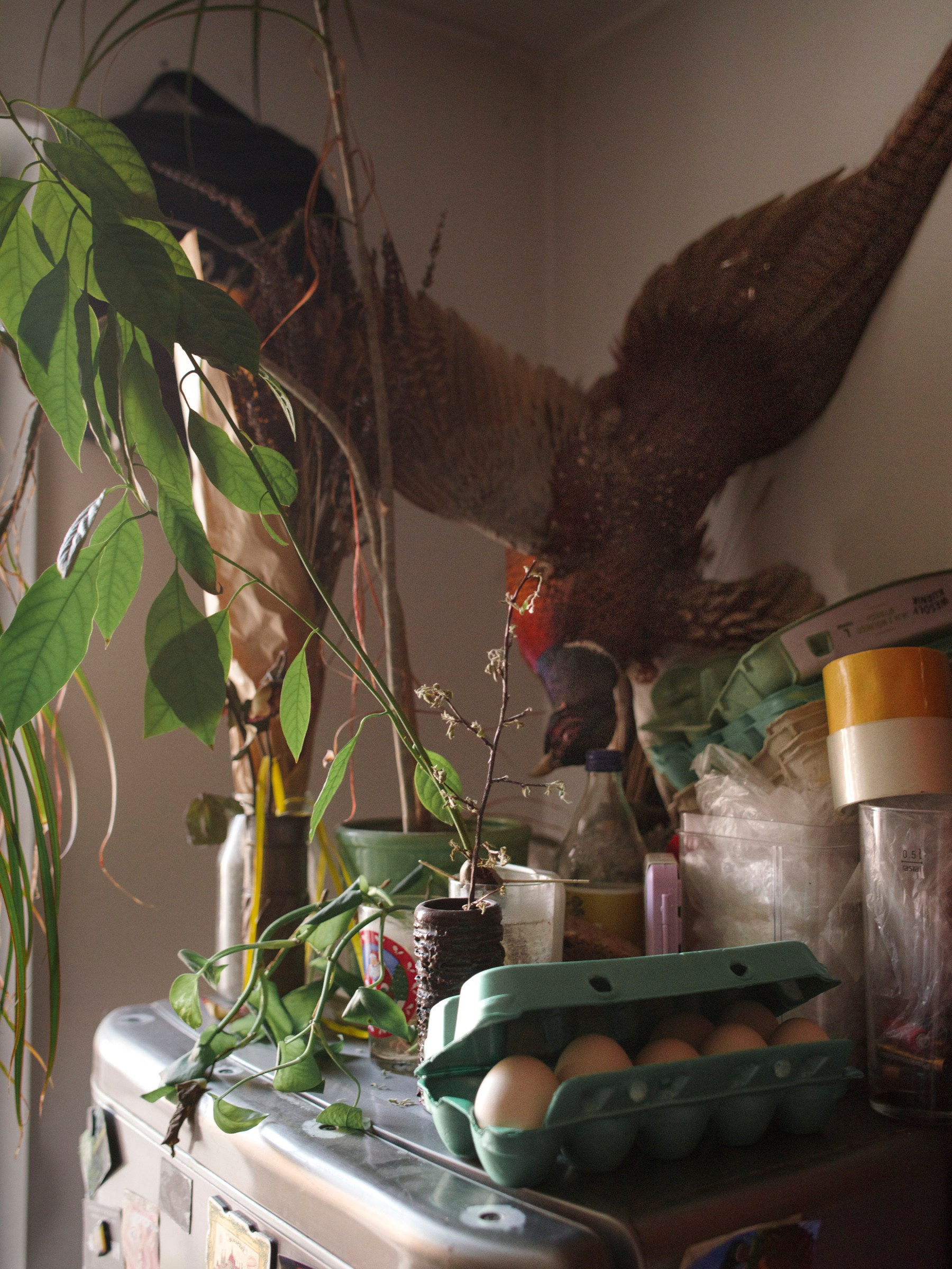 Butter melts at 36,6 (ongoing). Photographer, Documentary and Art