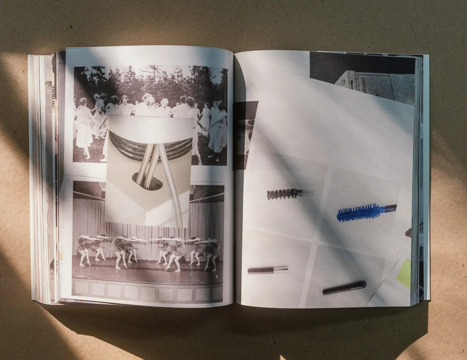 ПОПУЛЯРНЫЕ ОШИБКИ ПРИ СОЗДАНИИ ФОТОКНИГИ: Часть вторая — про содержание и нарратив. Самоорганизация Низина