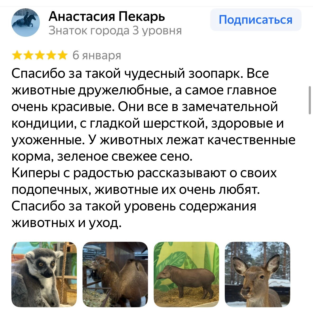 Восторженный отзыв ребёнка о посещении зоопарка