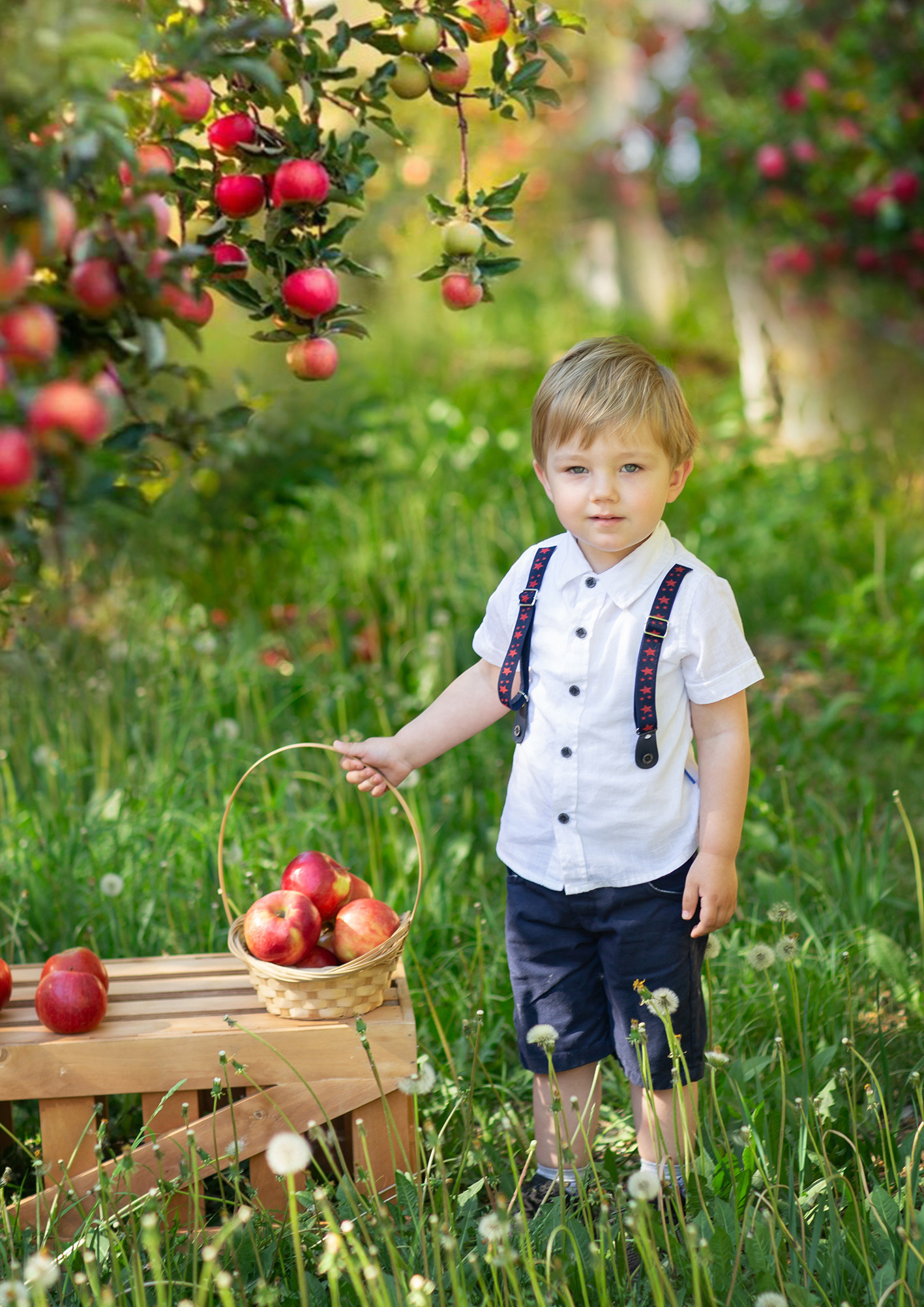 Тематическая выездная фотосессия в детском саду. Яблоневый сад. Фотосессия на улице.