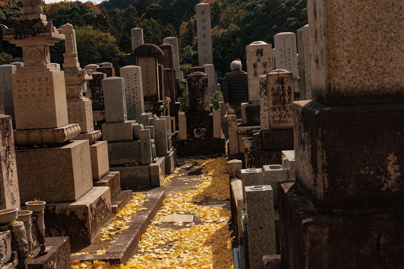 Sensing Japan. Documentary and art photographer Alexey Terentyev