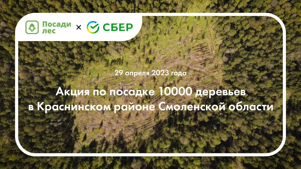 Для бизнеса. Gulenkkov — фотограф в Смоленске