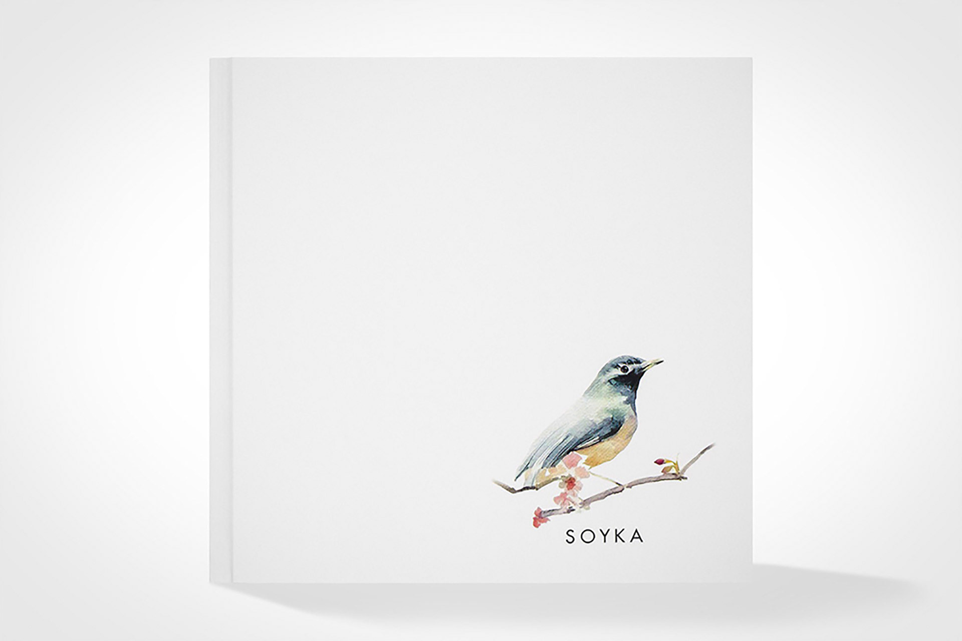 Фотокниги. Свадебный фотограф и видеограф — Сергей и Дарья