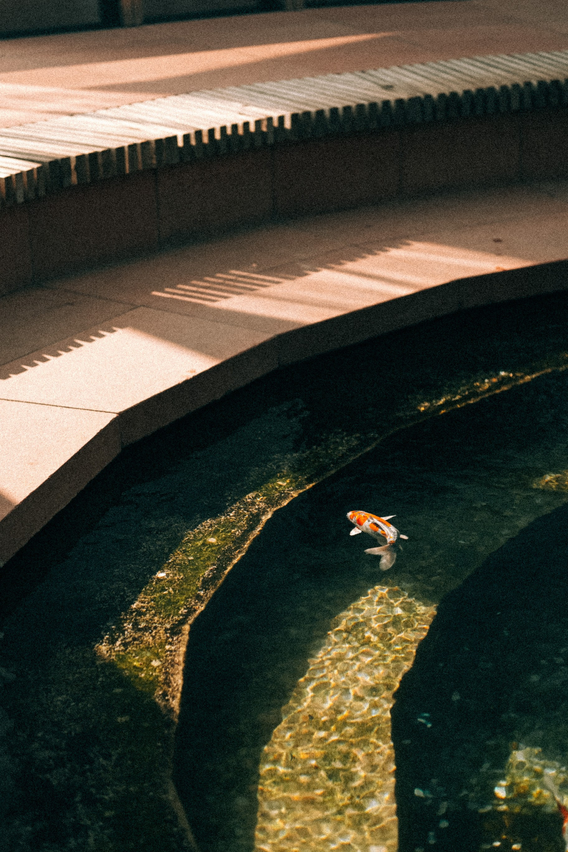 Курс «Увидимся на улице» 2.0