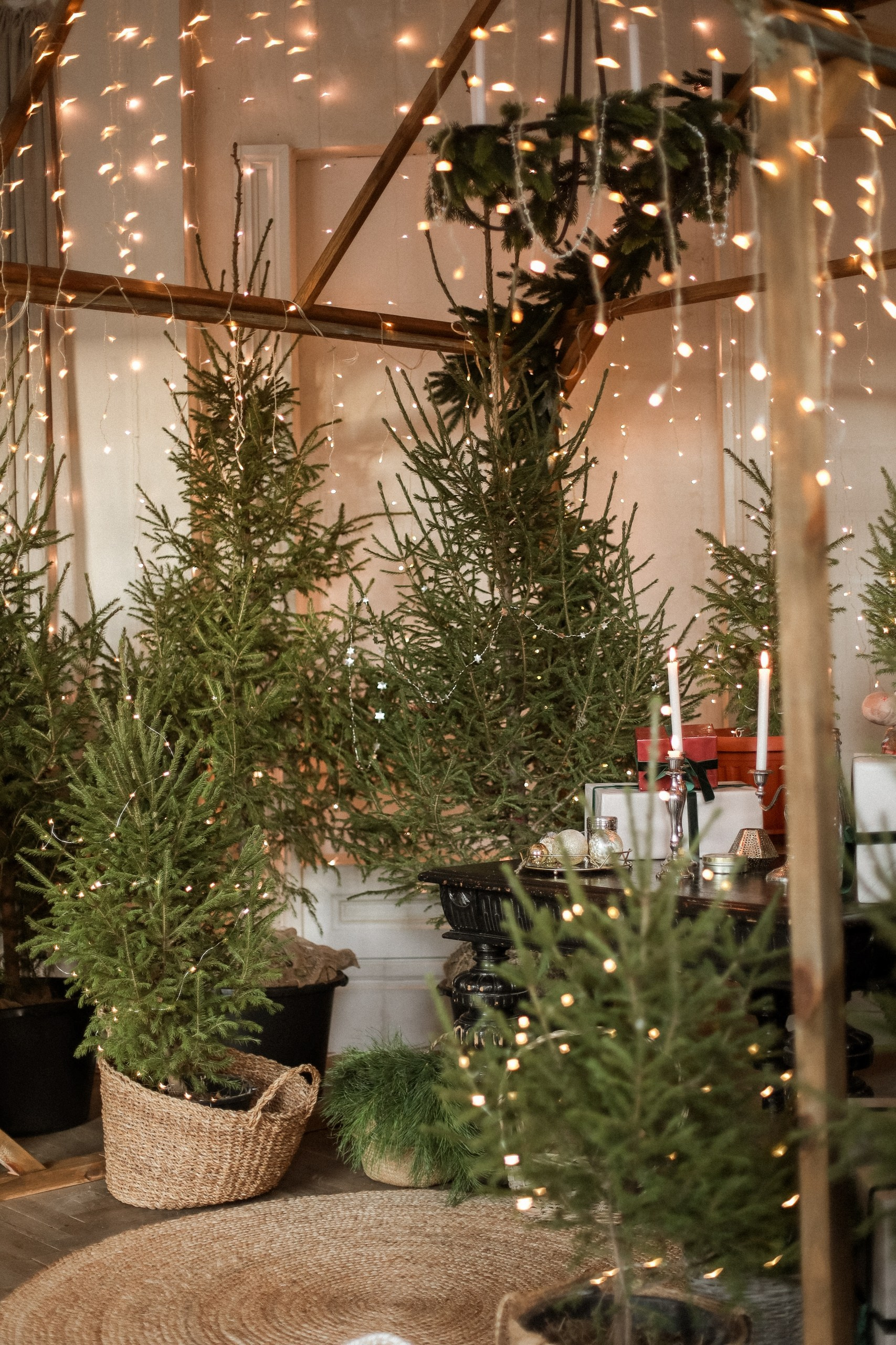 Новогодняя фотосессия тюмень. Фотограф Дарья Мустафина, Тюмень