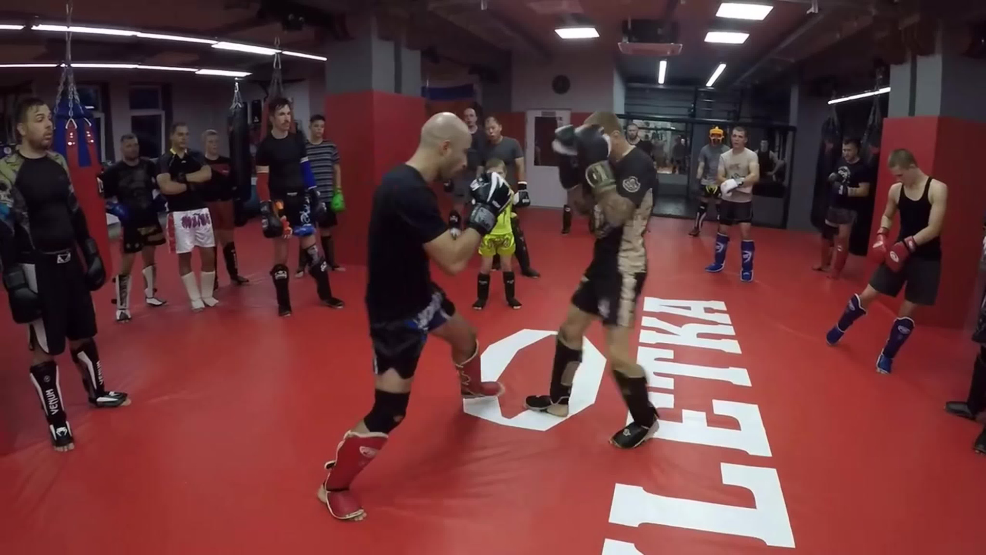 Клуб единоборств, тайского бокса и джиу-джитсу KLETKA