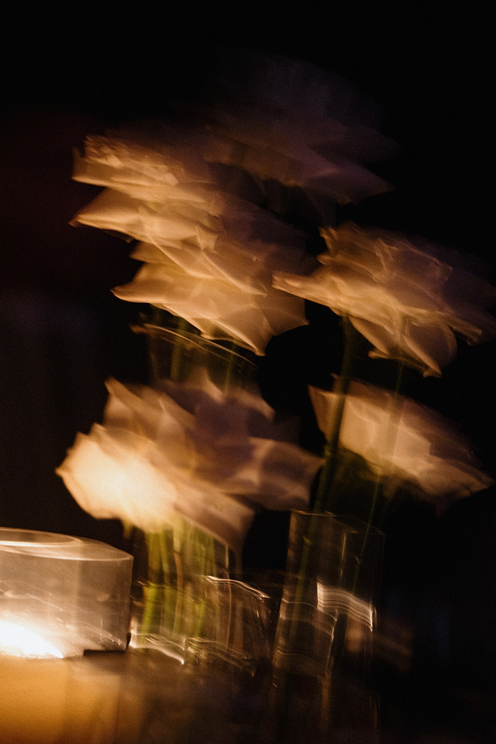 Благодаровы. Фотограф Томск, Новосибирск Влад Свириденко