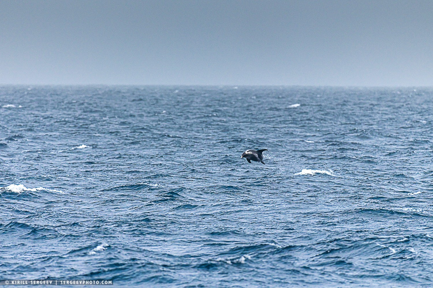Арктическая одиссея. Фотограф Кирилл Сергеев | Москва